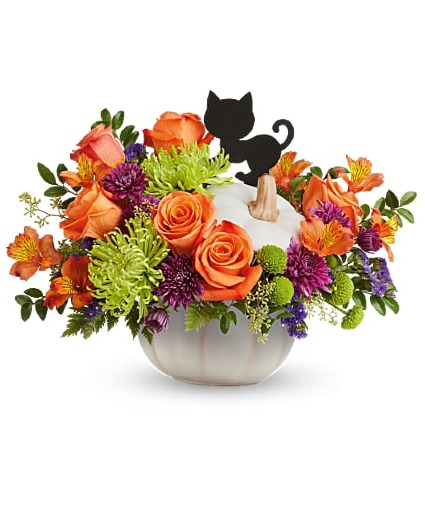 Haunted Harvest Halloween