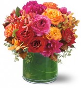 Haute Couture Arrangement
