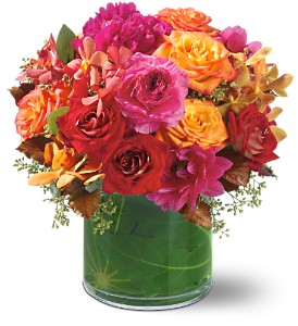 Haute Couture Arrangement