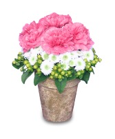 Have A Great Day! with Flowers