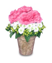 Have A Great Day! with Flowers