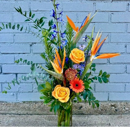 have a tropical day valentien day 