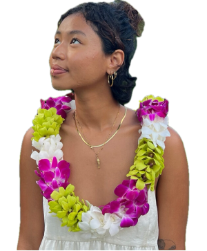 Hawaii Flower Lei exclusive 