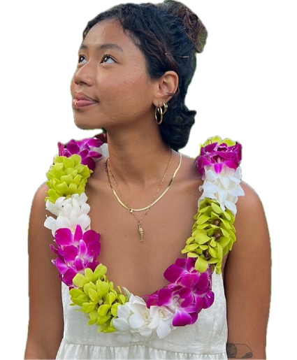 Hawaii Flower Lei exclusive 