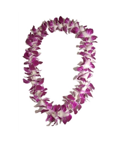 Hawaiian Lei- Pre Order Flowers