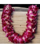 Hawiian Lei -Bombay Purple Double  Order Now! Last week of leis SOLD OUT