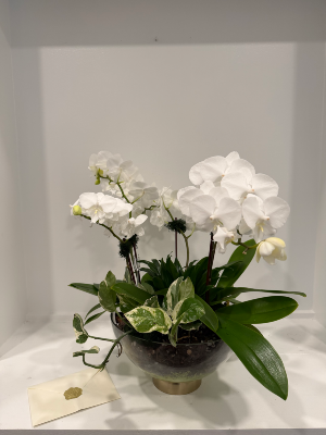 The Botanical Legacy Basket