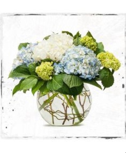 he loves hydrangeas  fathers day 