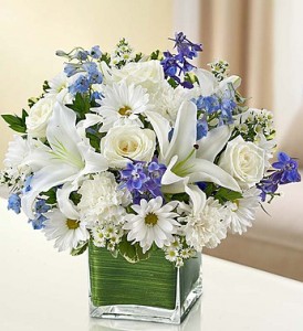 Healing Tears - Blue and White everyday