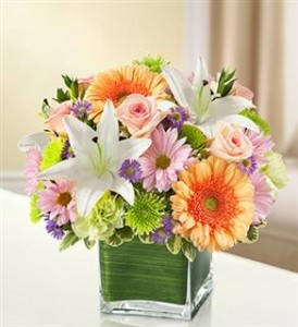 Healing Tears - Multicolor Pastel Funeral - Sympathy