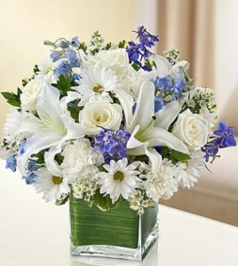  Healing Tears Blue and White 