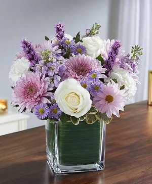 Healing Tears Lavender and White Lavender, Purple, White Flowers 