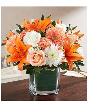 Healing Tears Peach, Orange & White 