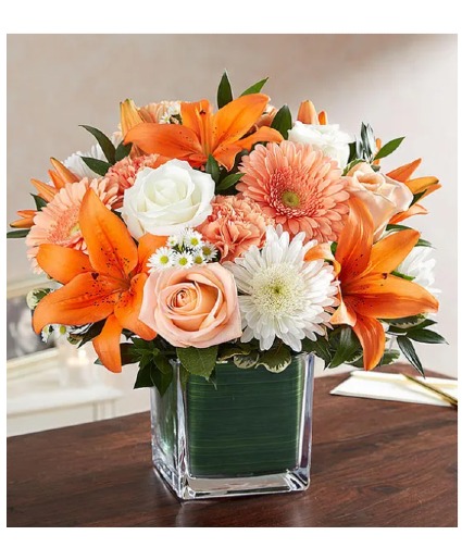 Healing Tears Peach, Orange & White 