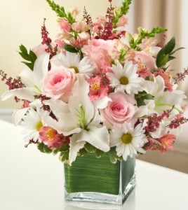 Healing Tears-Pink and White 