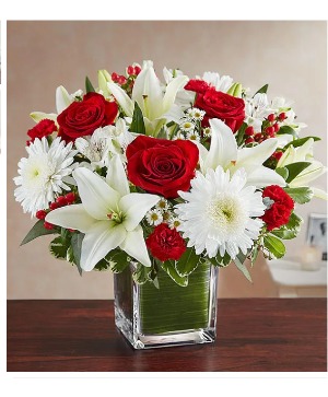 Healing Tears Red & White 