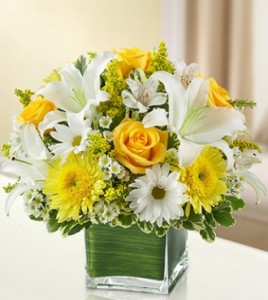 Healing Tears Yellow and White 