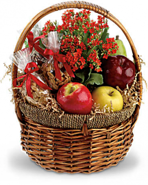 Health Nut Basket 