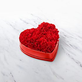 HEARTFELT CARNATIONS 