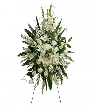 Heartfelt Sympathy T281-3A  Spray