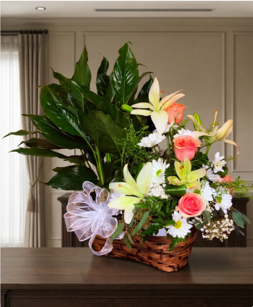Heartfelt Tribute (feminine colors) PEACE LILY + FRESH FLOWERS in Weatherford, OK | The Flower Box Florist