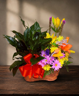 Heartfelt Tribute (masculine colors) PEACE LILY + FRESH FLOWERS