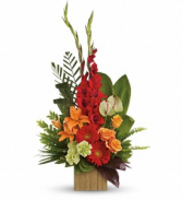 Hearts Companion - 273 Arrangement 