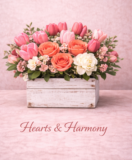 HEARTS & HARMONY 