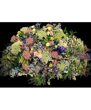 Heavenly Wildflowers Mixed Seasonal Filler Flowers
