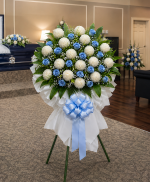 Heaven's Blue Promise Call Us for Faster Service & Daily Specials: (915) 303-8500 Text Us to Order Anytime: (915) 505-3708 Your trusted source for Flowers & Delivery in El Paso TX 