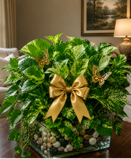 Heaven's Golden Butterfly Garden Call Us for Faster Service & Daily Specials: (915) 303-8500 Text Us to Order Anytime: (915) 505-3708 Your trusted source for Flowers & Delivery in El Paso TX 