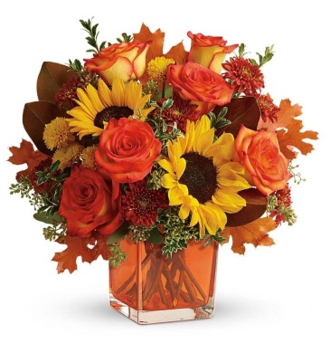 Hello Autumn  Arrangement in Frederick, MD | Maryland Florals