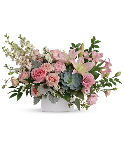 Hello Beautiful  