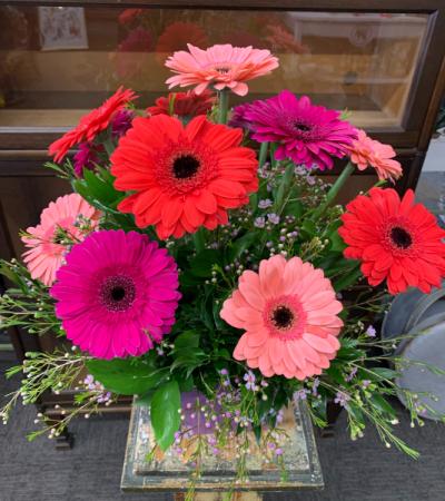 Hello Gorgeous Gerbera Bouquet