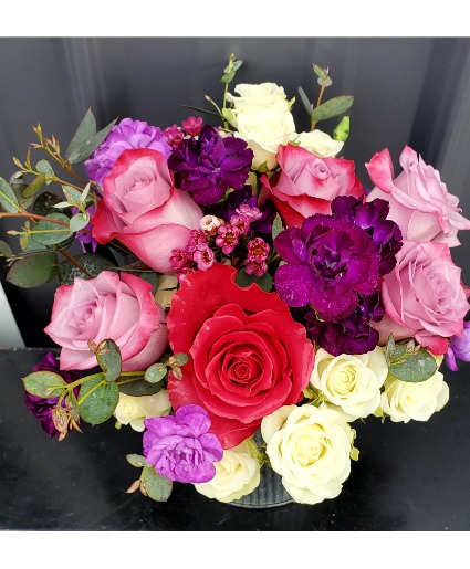 Mama Mia! container arrangement