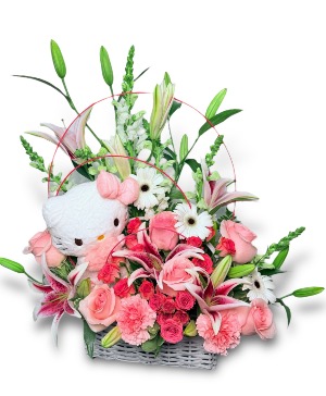 Hello Kitty Basket 