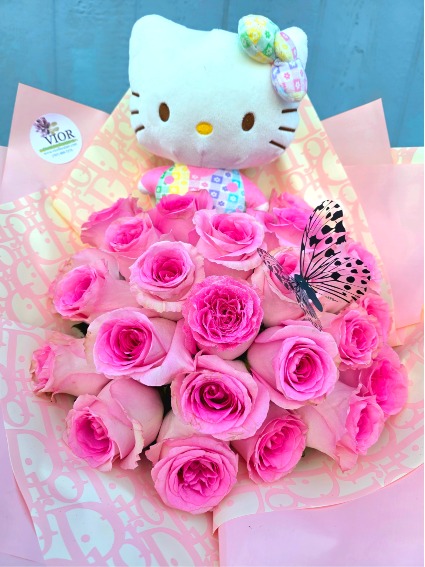 Hello Kitty Lovers 