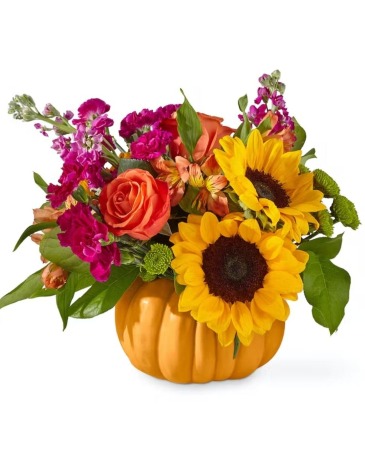 Hello Pumpkin  in Frederick, MD | Maryland Florals