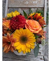 "Hello Pumpkin" Arrangement 