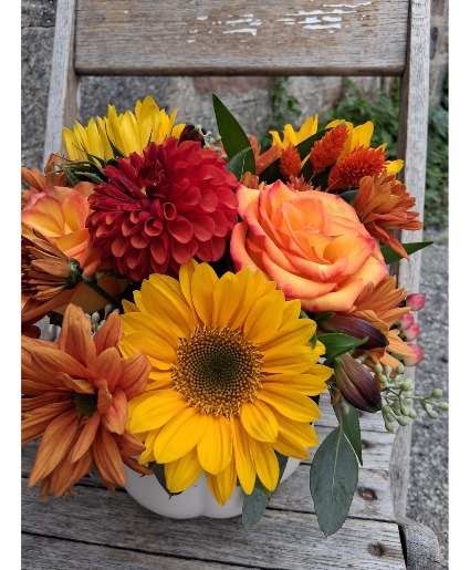 "Hello Pumpkin" Arrangement 
