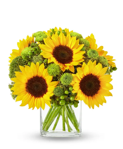 Hello Sunshine 