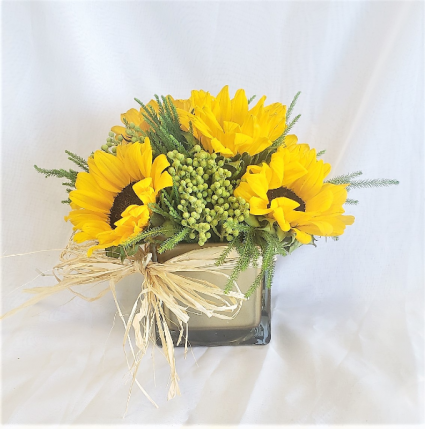 Hello Sunshine! 