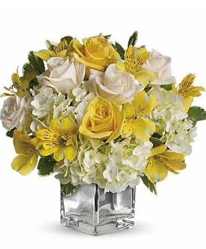 Hello Sunshine! Cube arrangement 
