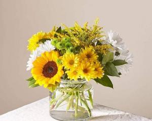 Hello Sunshine 