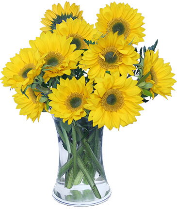 Hello Sunshine! Vase of Flowers in Marmaduke, AR | Choco Taco Florist ***TEST SHOP****