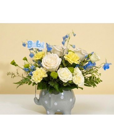 Hello Sweet Baby Boy Arrangement in Winnipeg, MB | CHARLESWOOD FLORISTS
