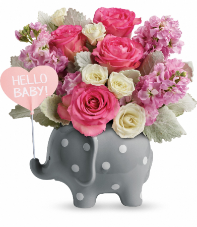 Hello Sweet Baby - Pink TNB06-1