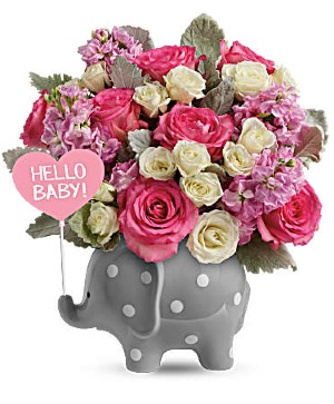 Hello Sweet Baby - Pink or Blue New baby