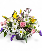 Hello Beautiful Vase arrangement 