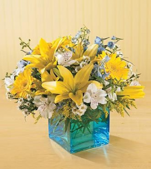 Cube - Hello World! Arrangement in cube